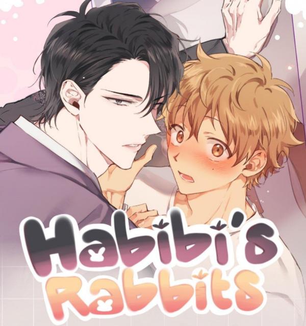 Habibi's rabbits